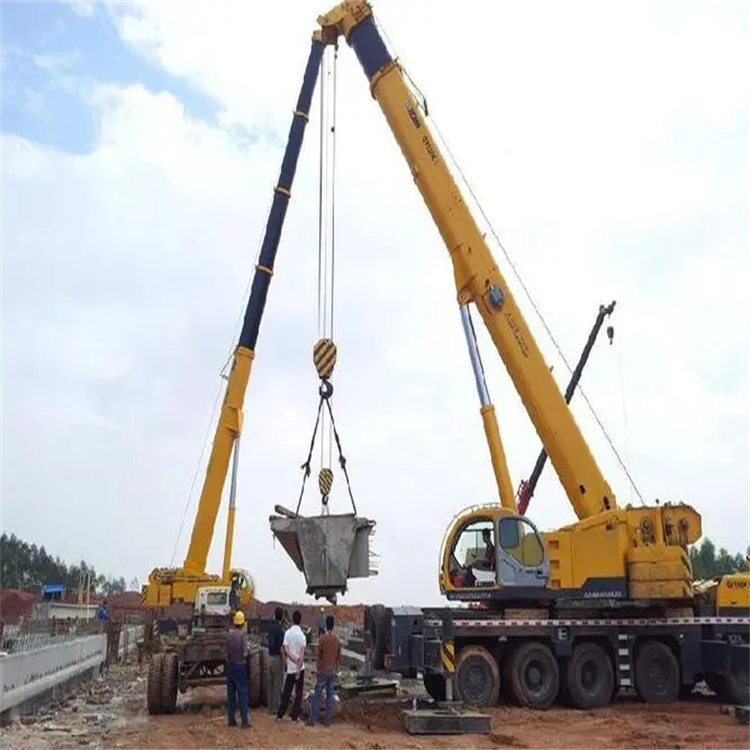 潼南小型吊机出租电话|厂房设备吊装方案|24小时服务覆盖